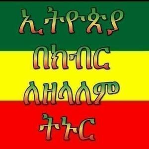 Meet your Posher, Almaz